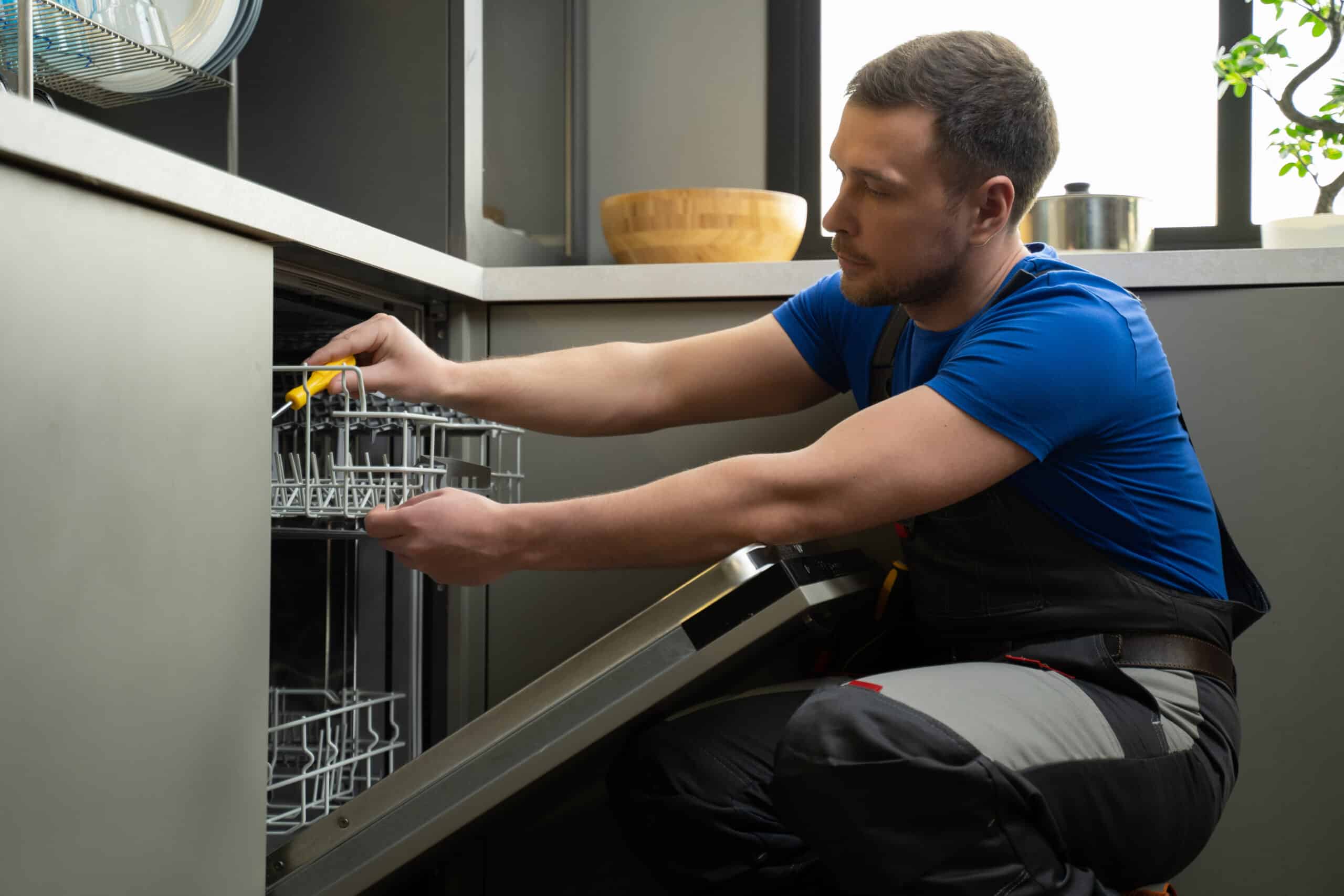 Samsung Dishwasher Not Draining: Reset, Filter Location & Error Codes